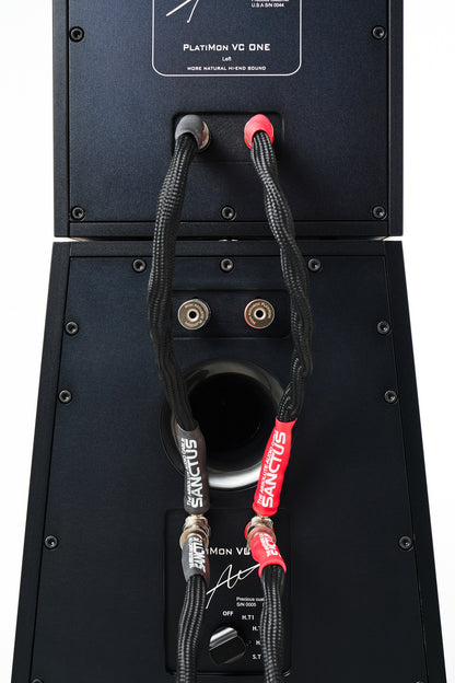 Platimon Virtual Coaxial Speakers