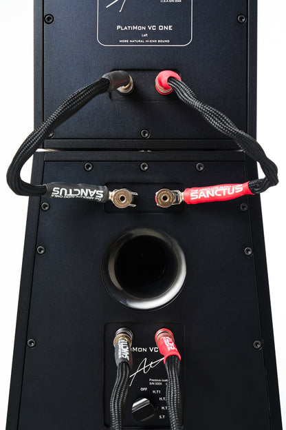 Platimon Virtual Coaxial Speakers